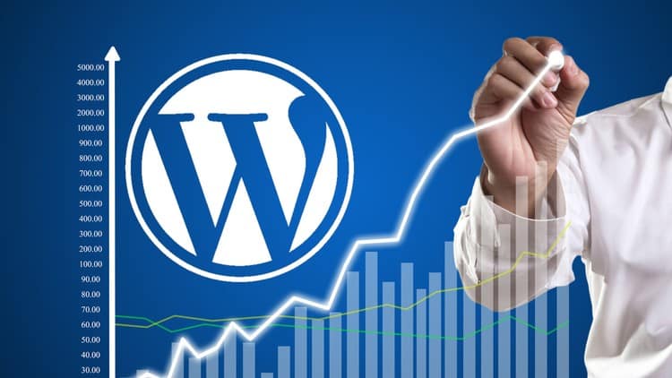 Posicionamiento Web Wordpress en San Luis Potosí